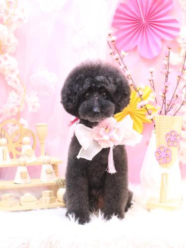 20250315ラブくん